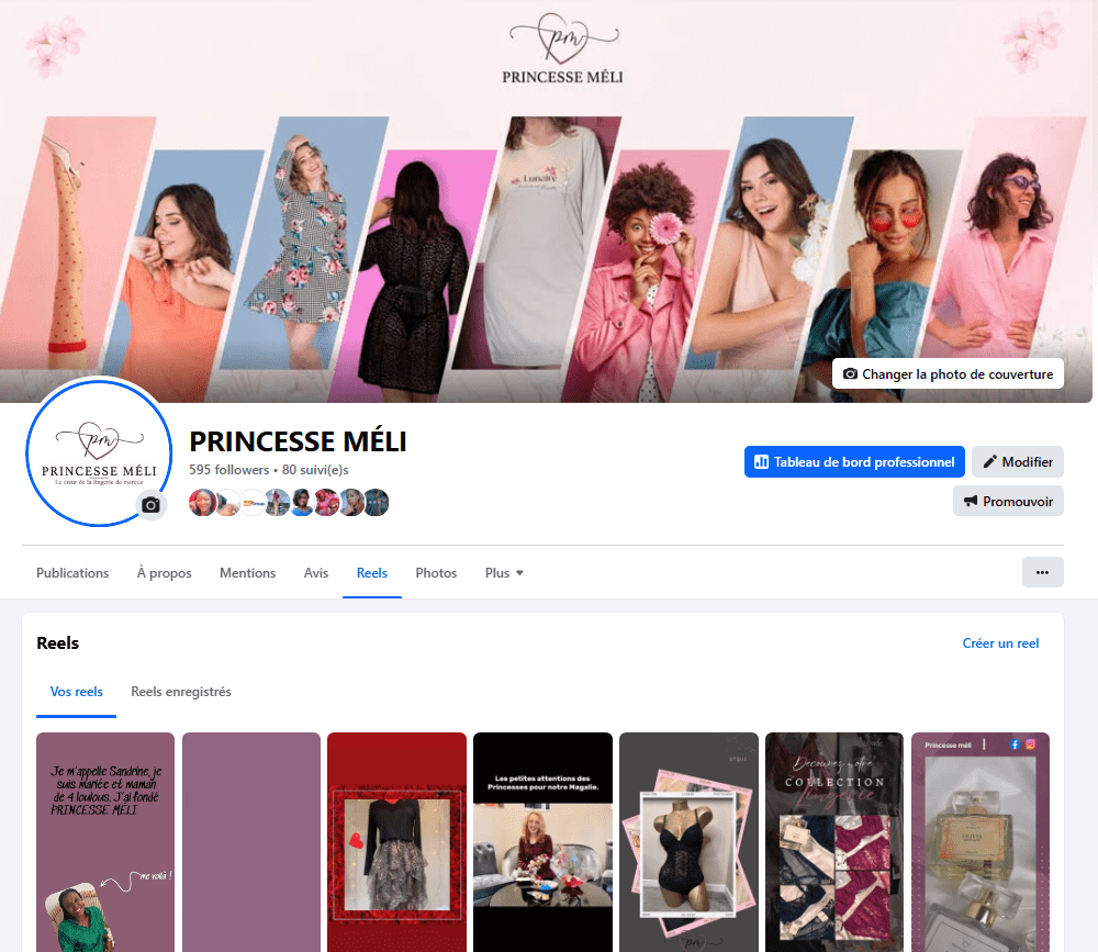 banniere-facebook-princesse-meli-france-gournay-en-bray