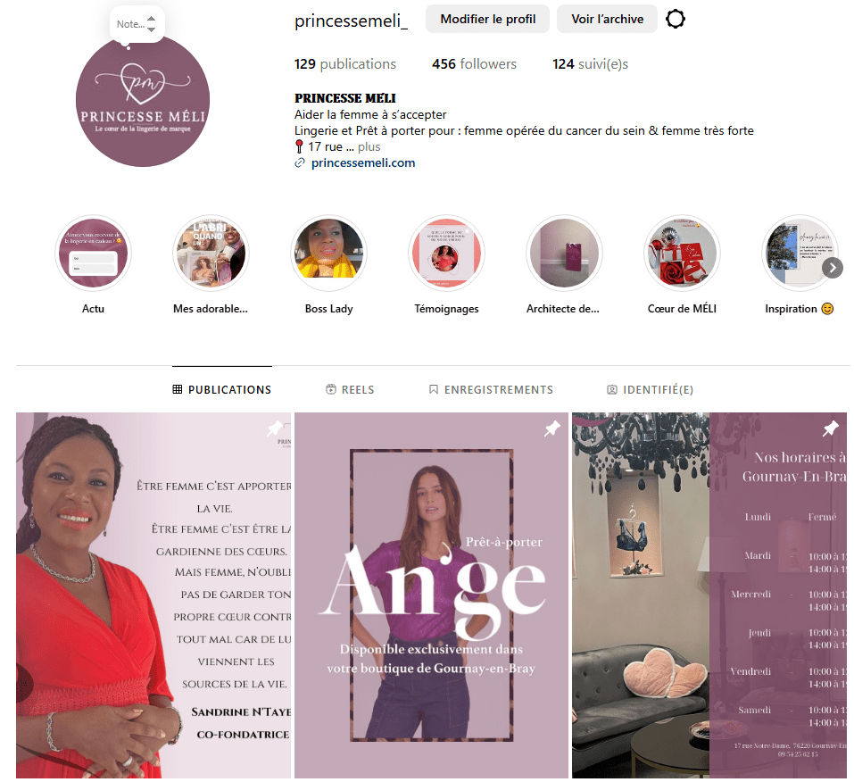 banniere-insta-princesse-meli-france-gournay-en-bray